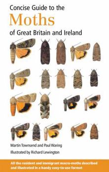 Paperback Concise Guide to the Moths of Great Britain and Ireland Book