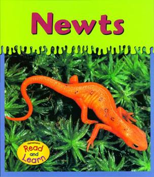 Paperback Newts (Ooey-gooey Animals) Book