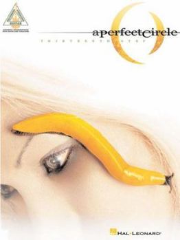 Paperback A Perfect Circle - Thirteenth Step Book
