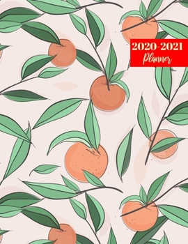 2020-2021 Planner: Pretty Two Year Day Planner Calendar - Passion/Goal Organizer - Weekly/Monthly Dated Agenda Book and To Do List