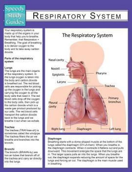 Paperback Respiratory System (Speedy Study Guide) Book