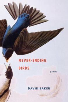 Hardcover Never-Ending Birds: Poems Book