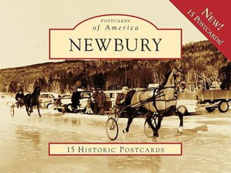 Ring-bound Newbury Book