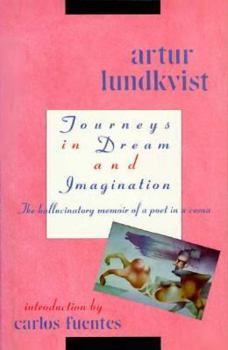 Hardcover Journeys in Dream and Imagination Book