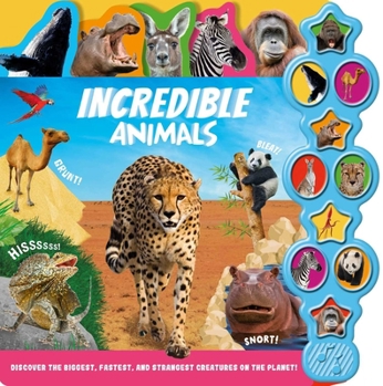 Board book Incredible Animals: Interactive Children's Sound Book with 10 Buttons Book