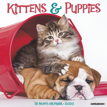 Calendar Kittens & Puppies 2020 Wall Calendar Book