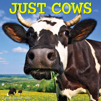 Calendar Just Cows 2024 12 X 12 Wall Calendar Book