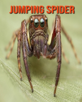 Jumping Spider: Amazing Facts about Jumping Spider