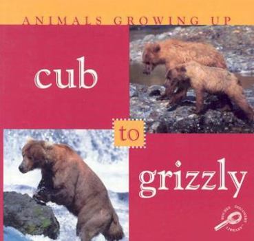Paperback Cub to Grizzly (Animals Growing Up) Book