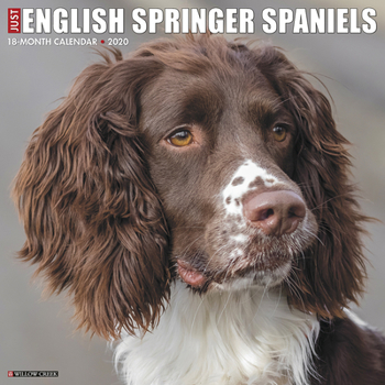 Calendar Just English Springer Spaniels 2020 Wall Calendar (Dog Breed Calendar) Book