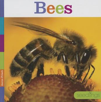 Library Binding Bees Book
