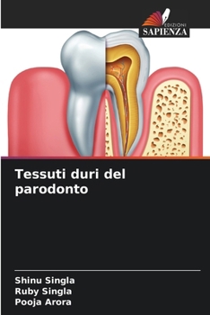 Paperback Tessuti duri del parodonto [Italian] Book