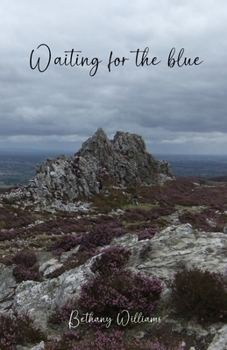 Paperback Waiting for the blue Book