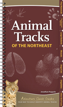 Spiral-bound Animal Tracks of the Northeast: Your Way to Easily Identify Animal Tracks Book