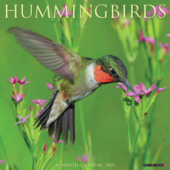 Calendar Hummingbirds 2025 12 X 12 Wall Calendar Book