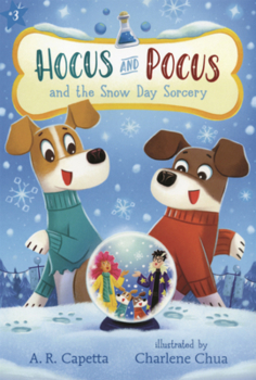 Library Binding Hocus and Pocus and the Snow Day Sorcery Book