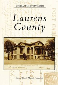 Paperback Laurens County Book