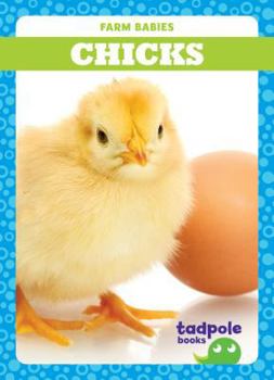 Chicks - Book  of the Farm Babies