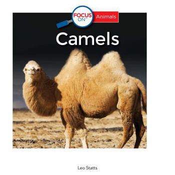 Staple Bound Camels Book