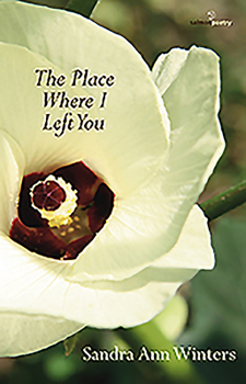 Paperback The Place Where I Left You Book