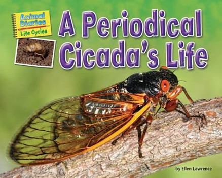 A Periodical Cicada's Life - Book  of the Animal Diaries: Life Cycles