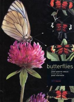 Hardcover Butterflies & Moths Book