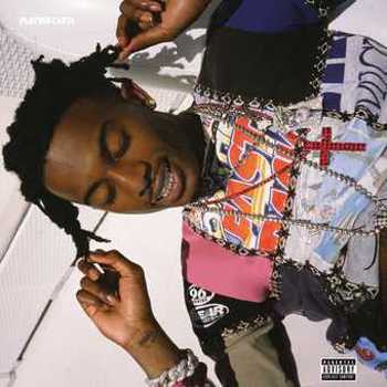 Vinyl Playboi Carti (LP) Book