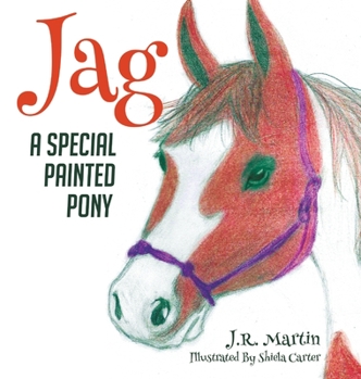 Hardcover Jag: A Special Painted Pony Book