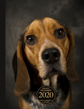 Paperback January - December 2020 Daily & Weekly Planner: 1 Year Personal Calendar; Cute Beagle Book