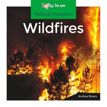 Wildfires - Book  of the Natural Disasters