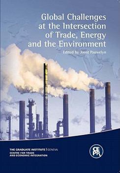 Paperback Global Challenges at the Intersection of Trade, Energy and the Environment Book