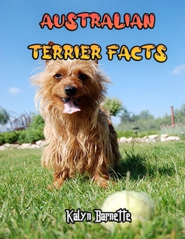 Australian Terrier Facts: AUSTRALIAN TERRIER fact for girl age 1-10 AUSTRALIAN TERRIER fact for boy age 1-10 facts about all about AUSTRALIAN TE