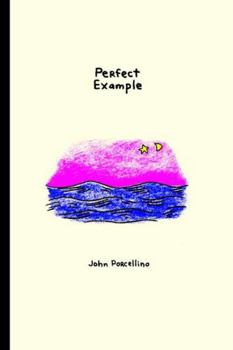 Paperback Perfect Example Book