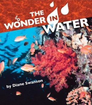 Paperback The Wonder in Water Book