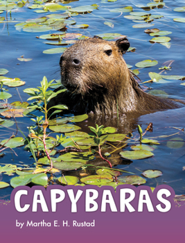 Paperback Capybaras Book