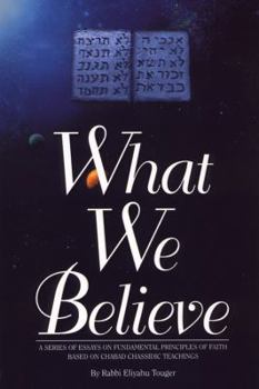 Paperback What We Believe Book