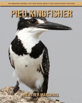 Paperback Pied Kingfisher: An Amazing Animal Picture Book about Pied Kingfisher for Kids Book
