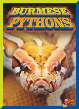 Paperback Burmese Pythons Book