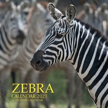 Zebra Calendar 2021: 16 Month Calendar