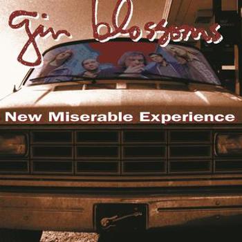 Vinyl New Miserable Experience (LP) Book