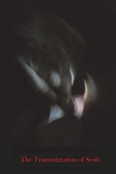 Paperback The transmigration of souls Book