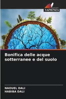 Paperback Bonifica delle acque sotterranee e del suolo [Italian] Book