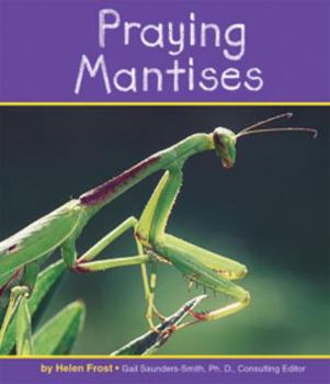 Hardcover Praying Mantises Book
