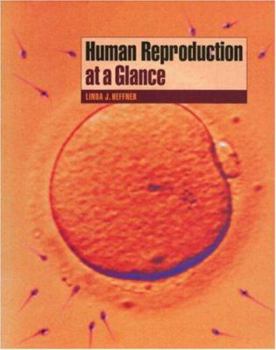 Paperback Human Reproduction at a Glance Book