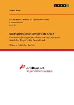 Paperback Niedriglohnsektor: Armut trotz Arbeit: Eine Situationsanalyse, Ursachensuche und Diskussion staatlicher Eingriffe für Deutschland [German] Book