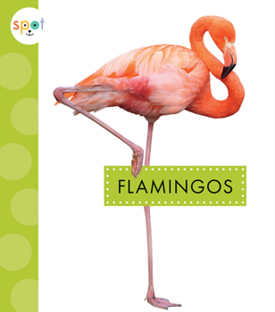Library Binding Flamingos Book