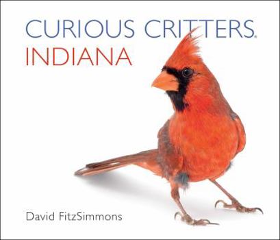 Board book Curious Critters Indiana Book