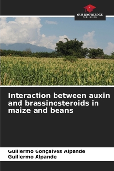 Paperback Interaction between auxin and brassinosteroids in maize and beans Book