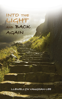 Paperback Into the Light and Back Again: A Mystic's Journey Book