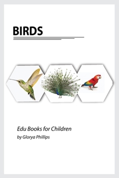 Paperback Birds: Montessori real birds book, bits of intelligence for baby and toddler, children's book, learning resources. Book